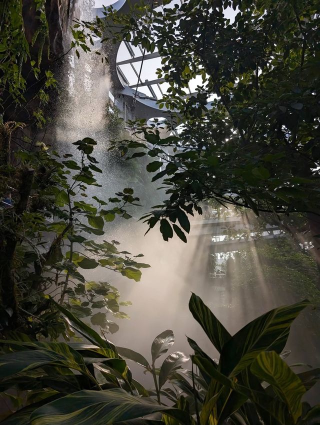 上海世博文化公園溫室花園超全攻略
