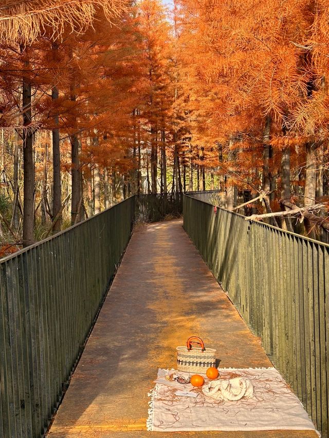 已經開始期待深秋的紹興了！「附地址」