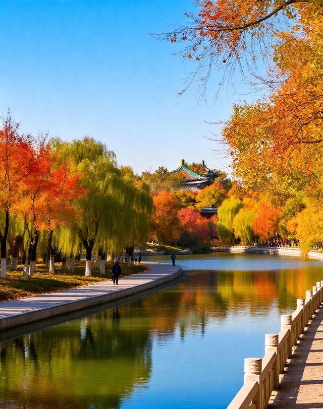 打卡唐風秋韻|邂逅城市邊的詩意與溫柔|收穫滿滿的治癒與快樂