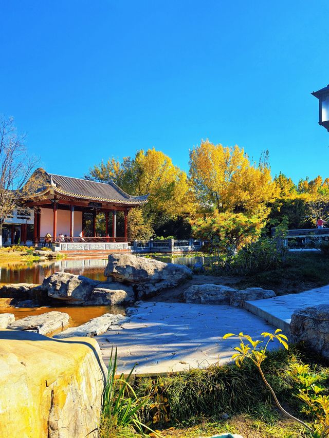 北京園博園嶺南園以精緻的嶺南園林風格 在北京的秋韻裡獨領風騷