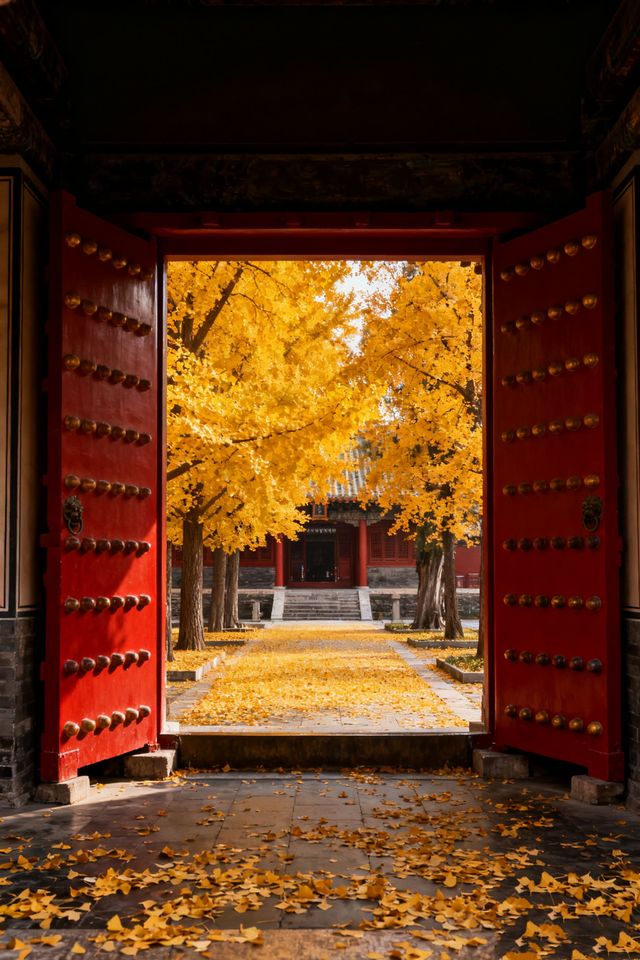 3天暢玩攻略濟南-泰安-濟寧衝鴨