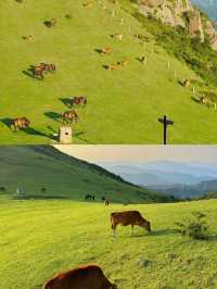 逃離城市當「牛馬」，奔赴大姆山的草甸狂歡