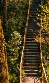 成都周邊2.5h，秋日童話限時返場！