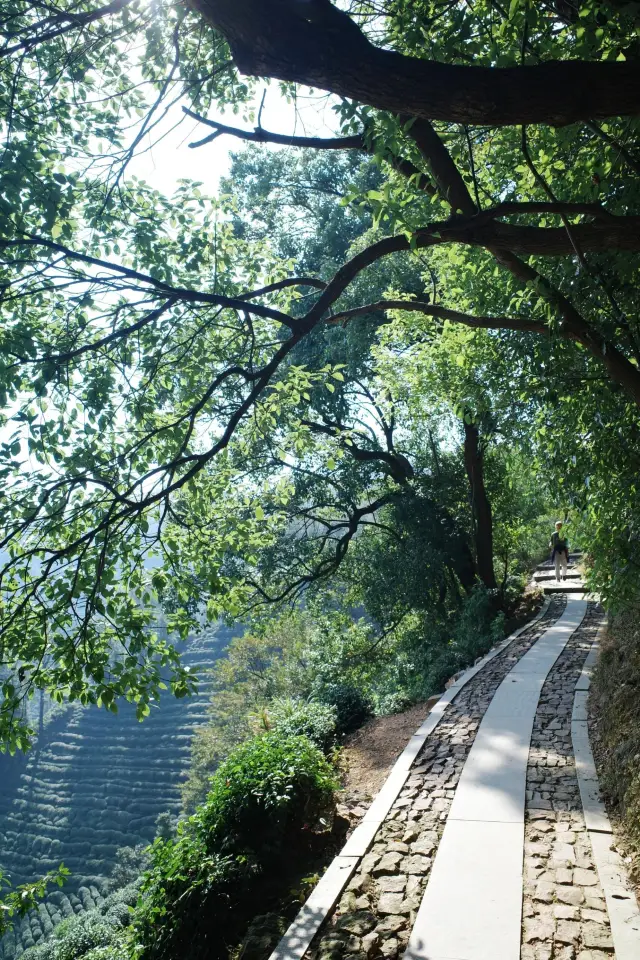 杭州行山天花板,十里琅珰最輕鬆路線