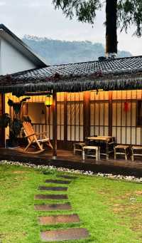 大紅袍品茶體驗