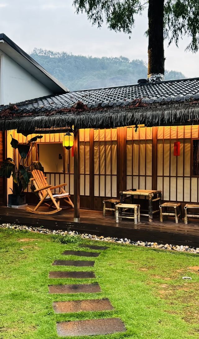 大紅袍品茶體驗