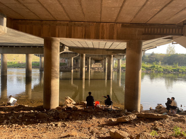 在半島世界酒店，偶遇秋日最美江濱公園