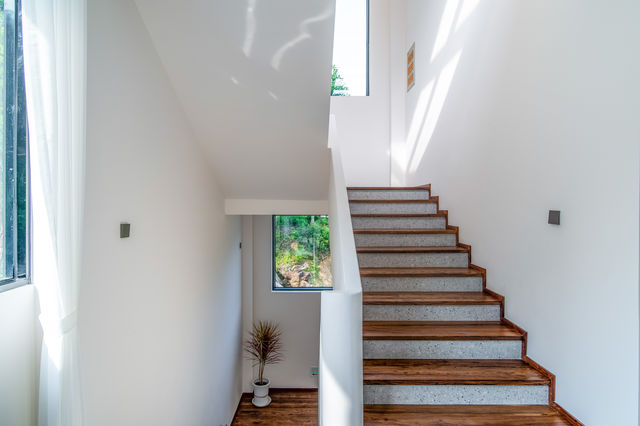 皖南紅杉林 + 竹海挖筍！智能美墅太絕