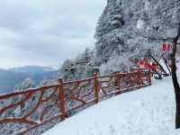 這哪裡是老君山，這怕不是天宮吧！