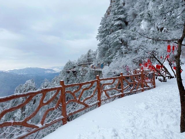這哪裡是老君山，這怕不是天宮吧！
