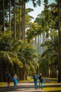 斯里蘭卡玩轉不踩雷