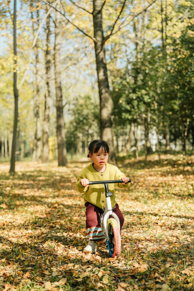 杭州出發1h,銀杏林農場是秋冬遛娃天花板 杭州出發1h,銀杏林農場是秋冬遛娃天花板