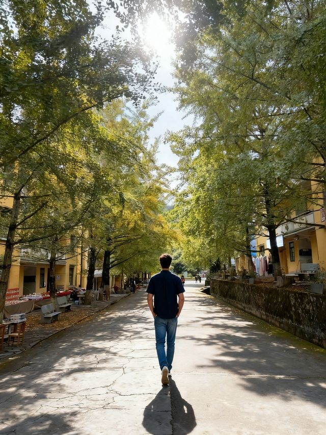 帽峰秋語：在金色秘境治癒心靈