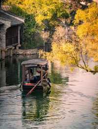 在鹽官,採集秋日金箔紙