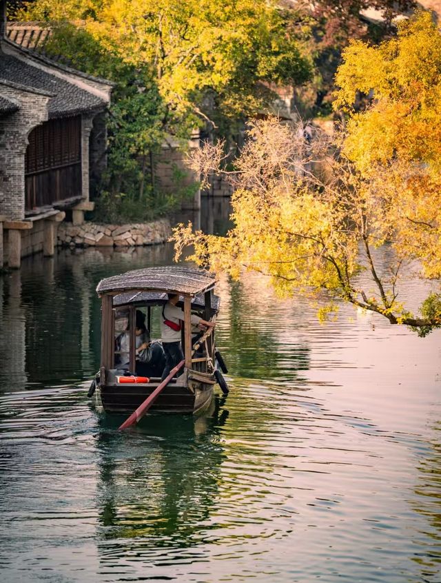 在鹽官,採集秋日金箔紙 在鹽官,採集秋日金箔紙