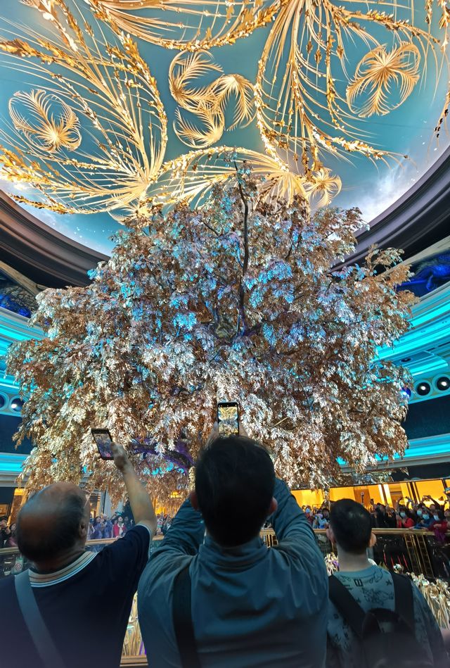 澳門兩天一夜攻略