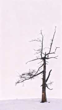 我想～沒人能拒絕冬天的阿勒泰吧！！