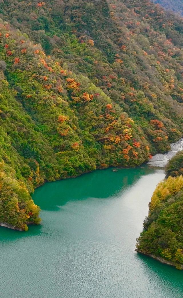 平武天母湖“百里彩林走廊”