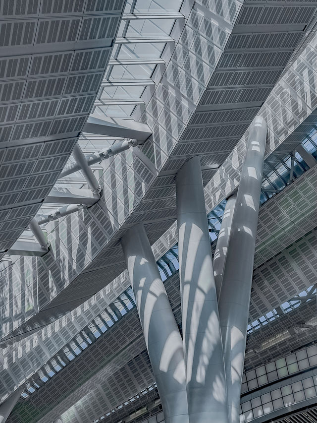 香港西九龍站候車廳美到誤高鐵！建築黨狂喜