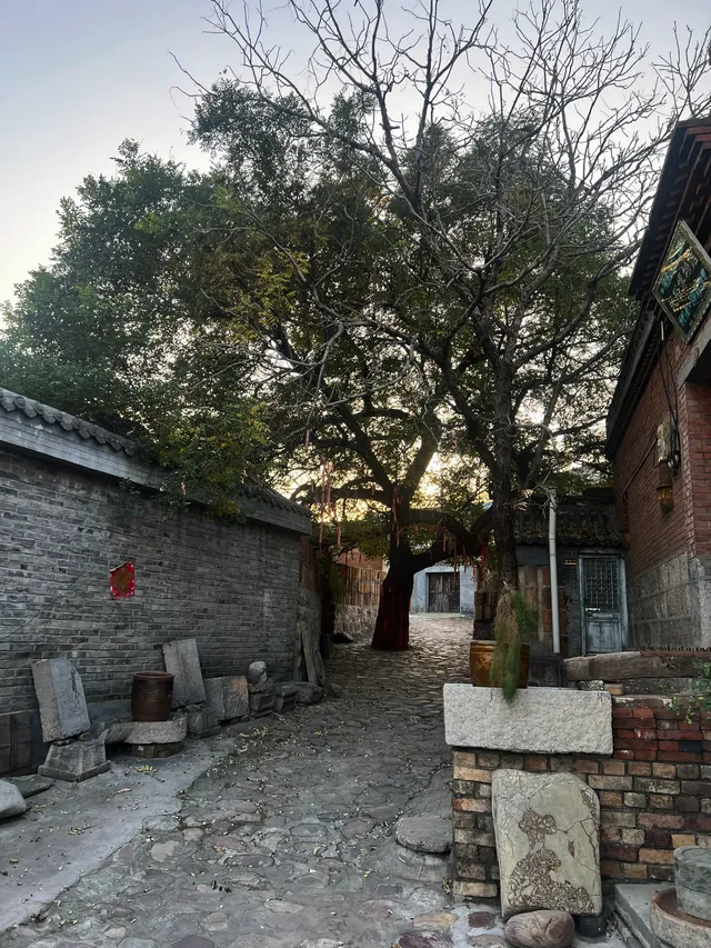 週末帶小孩去這裡吧，超治癒#井陘陶瓷水鎮