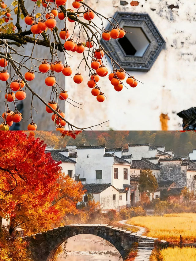 100+兩個人還好我是在來篁嶺前看到