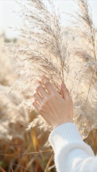 Эта скрытая жемчужина тростникового болота просто захватывает дух! Незаменимый урок по цветокоррекции фотографий с мобильного телефона осенью.