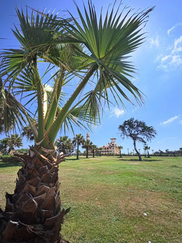 秋天限定埃及10日遊攻略來啦 秋天限定埃及10日遊攻略來啦