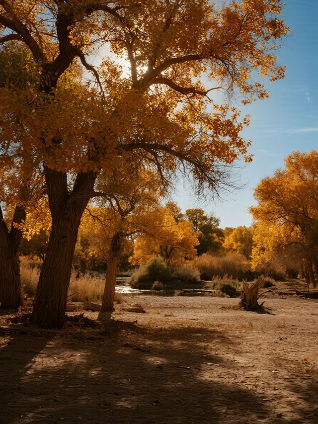 額濟納旗親子賞秋攻略帶娃玩轉胡楊林+沙漠秘境 額濟納旗親子賞秋攻略帶娃玩轉胡楊林+沙漠秘境