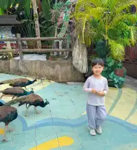 版納普洱親子線追象玉林徒步!體力黨衝