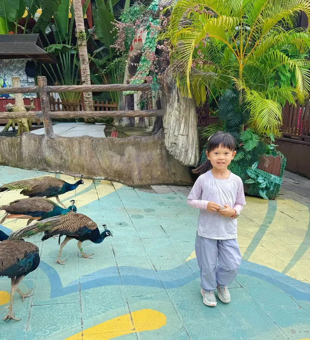 版納普洱親子線追象玉林徒步!體力黨衝 版納普洱親子線追象玉林徒步!體力黨衝