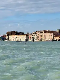 威尼斯你別太寵我！！！