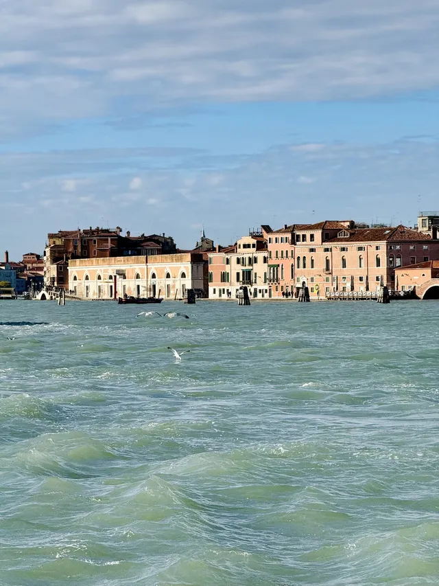 威尼斯你別太寵我！！！
