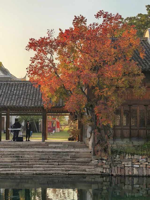 在鹽官,遇見江南最絢爛的深秋 在鹽官,遇見江南最絢爛的深秋