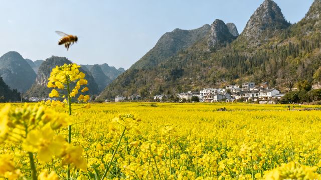 萬峰林|喀斯特仙境漫步攻略 萬峰林|喀斯特仙境漫步攻略