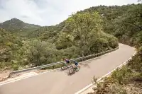 穿行阿爾布費拉自然公園，遇見自然本真