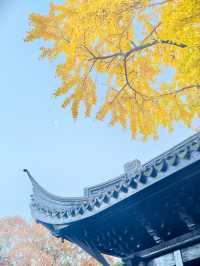 惠山古鎮免費遊玩攻略！秋日限定美景+精華路線