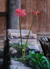 在鴻達結帳開票像下樓取個快遞一樣簡單