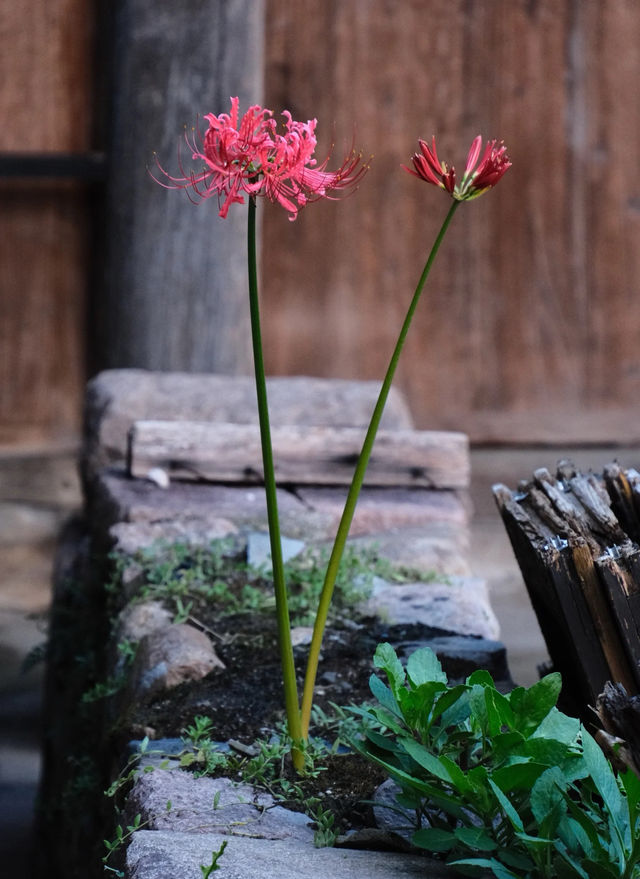 在鴻達結帳開票像下樓取個快遞一樣簡單 在鴻達結帳開票像下樓取個快遞一樣簡單