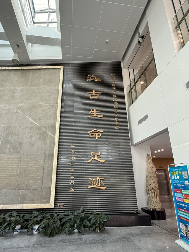 武漢 / 中國地質大學逸夫博物館