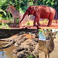 萌獸遍地！海野治癒之旅超全攻略