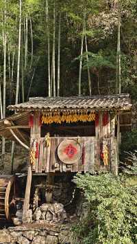 婺源太遠?溫州永嘉林坑村曬秋攻略來啦!