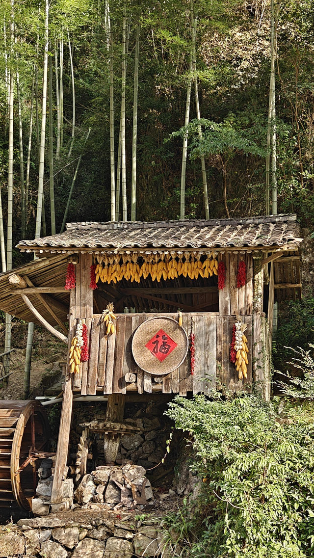 婺源太遠?溫州永嘉林坑村曬秋攻略來啦! 婺源太遠?溫州永嘉林坑村曬秋攻略來啦!