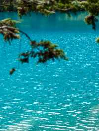 九寨溝歸來不看水,這裡的秋天美到詞窮!