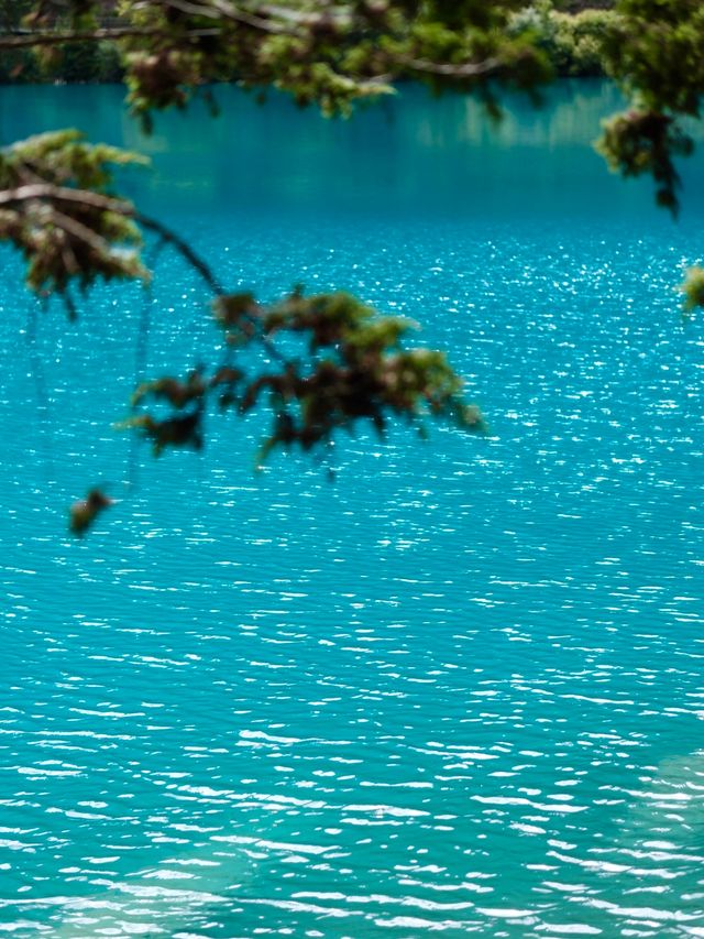 九寨溝歸來不看水,這裡的秋天美到詞窮! 九寨溝歸來不看水,這裡的秋天美到詞窮!