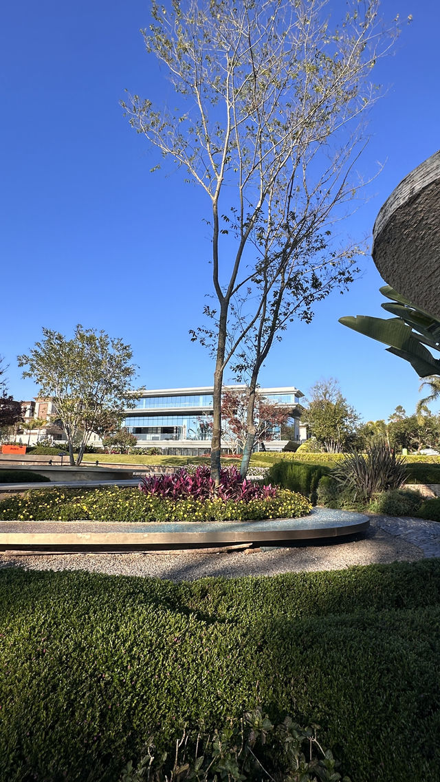 梅子湖花箋｜冬日限定的溫柔詩篇