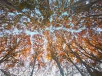 南京三天遊(秋天的尾巴)