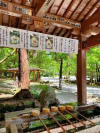 🔥999坐郵輪！5天4晚實探攻略來啦！