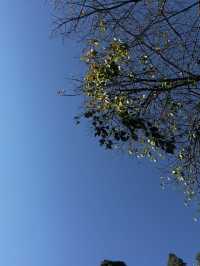 麗江半月慢居手記：尋一處偏愛，赴一場暖陽