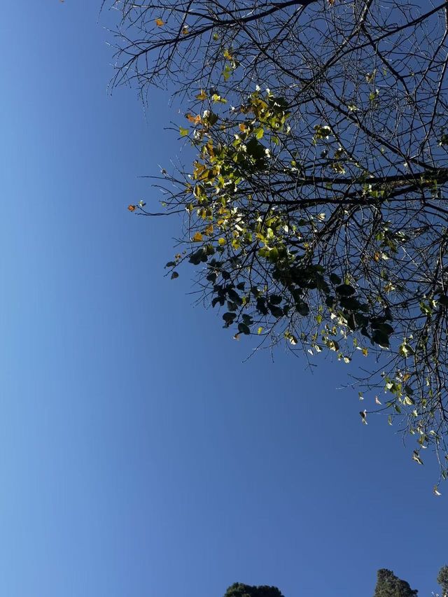 麗江半月慢居手記：尋一處偏愛，赴一場暖陽