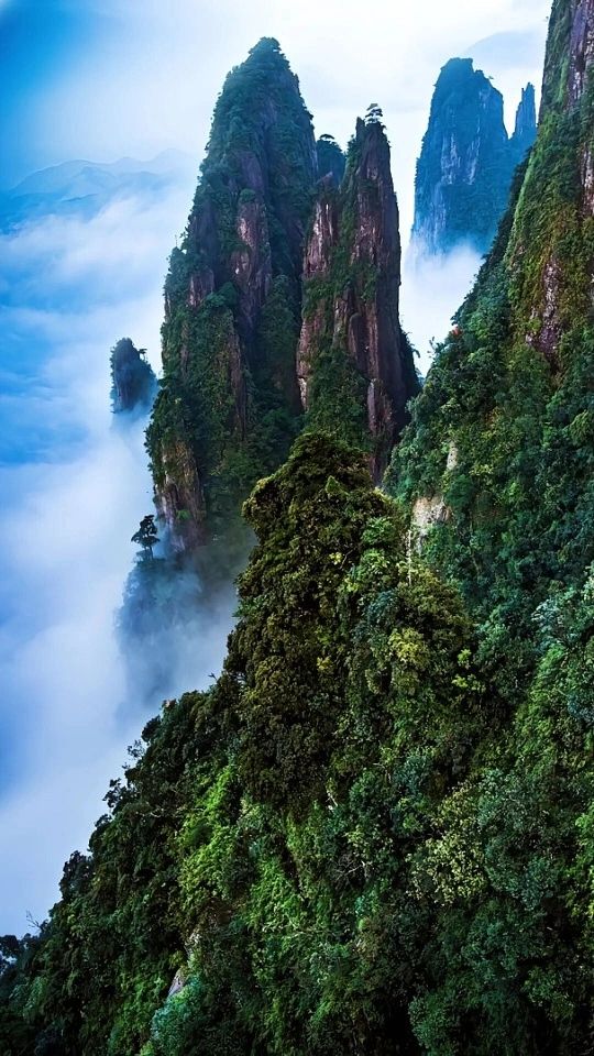 莽山仙境遊 莽山仙境遊